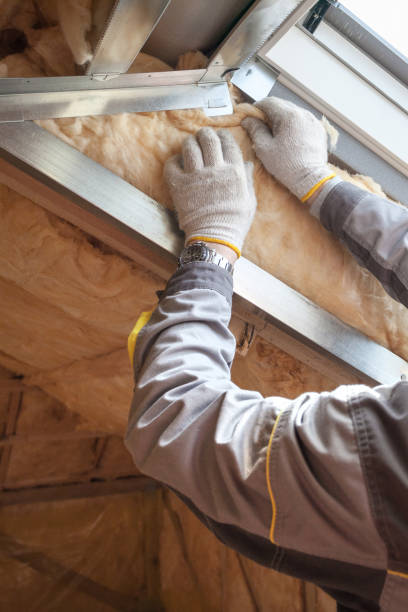 Best Types of Insulation in Lake Of The Woods, IL