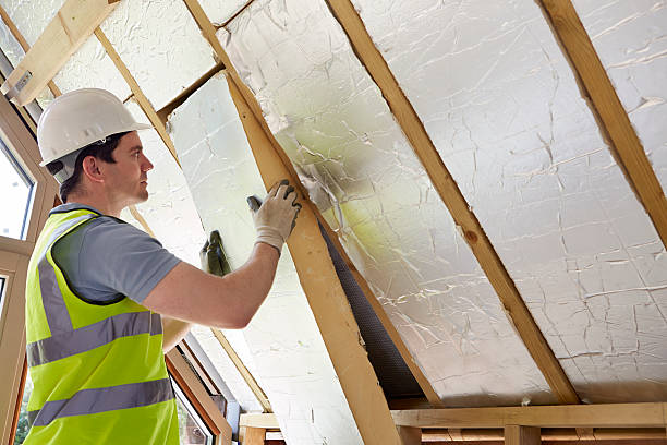 Best Residential Insulation in Lake Of The Woods, IL